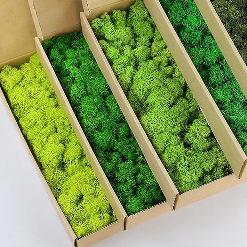 Terrarium Moss Art - 20-200g 인공 녹색 식물 가짜 잔디