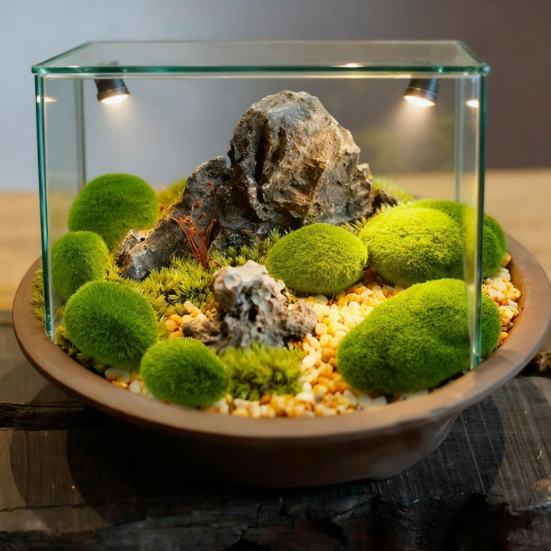 50/5PCS 인공 거품 이끼 돌 가짜 녹색 이끼 돌  - Terrarium Moss Art 리뷰 및 가격